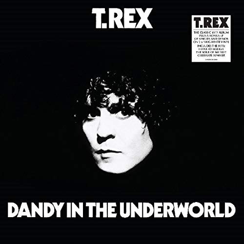 T.Rex/Dandy In The Underworld@colored vinyl 2LP