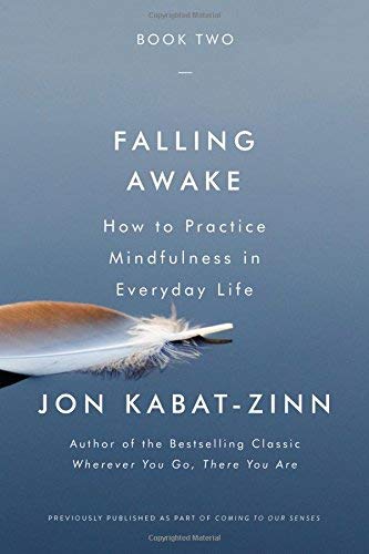 Jon Kabat-Zinn/Falling Awake@How to Practice Mindfulness in Everyday Life