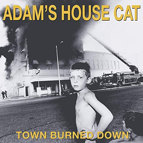 Adam's House Cat/Town Burned Down (Yellow Vinyl)