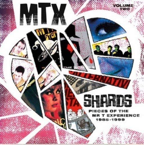 Mr T Experience/Shards Vol. 2