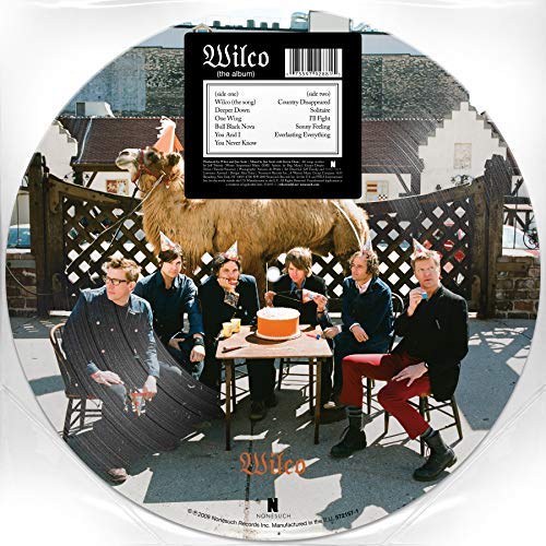 Wilco Wilco [the Album] (pic Disc) Picture Disc 