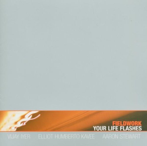 Fieldwork/Your Life Flashes