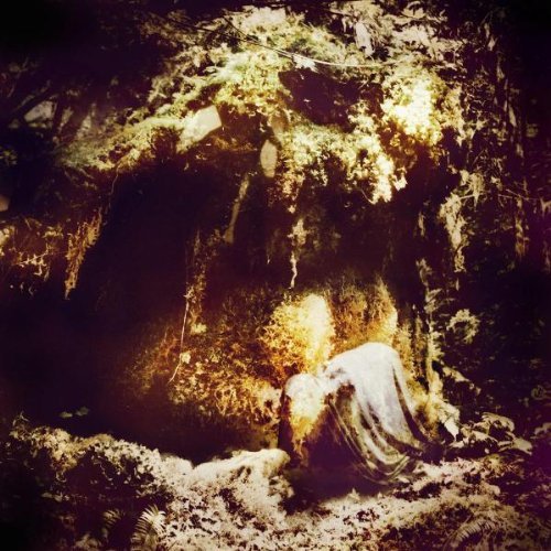 Wolves In The Throne Room/Celestial Lineage