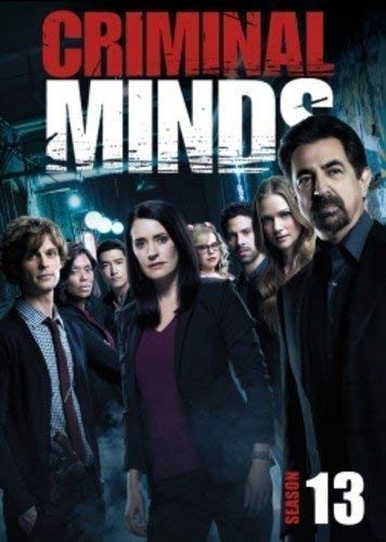 Criminal Minds Season 13 DVD 