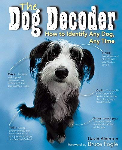 David Alderton Dog Decoder How To Identify Any Dog Any Time 