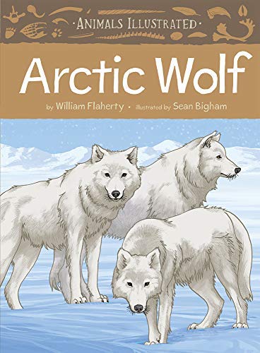 William Flaherty Animals Illustrated Arctic Wolf English 