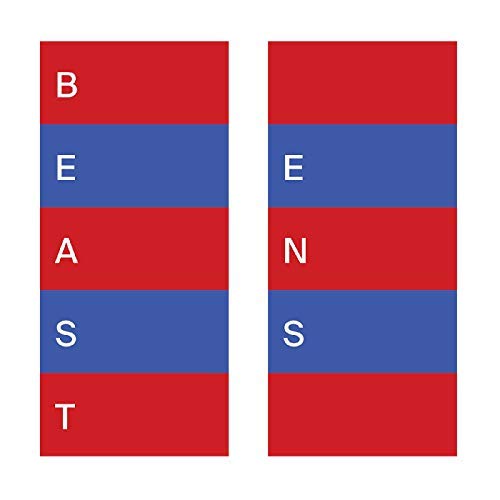 Beast Ens Clear Vinyl. With Download Coupon 