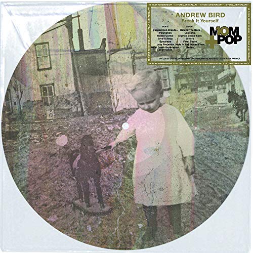 Andrew Bird/Break It Yourself@Picture Disc Download Card Included