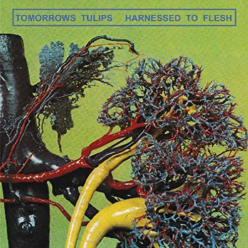 Tomorrows Tulips/Harnessed To Flesh