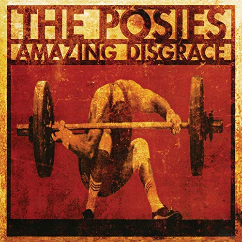 The Posies/Amazing Disgrace