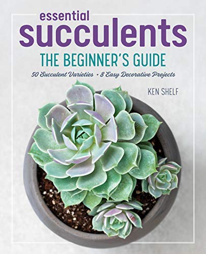 Ken Shelf/Essential Succulents@ The Beginner's Guide