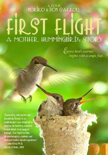 First Flight/A Mother Hummingbird's Story