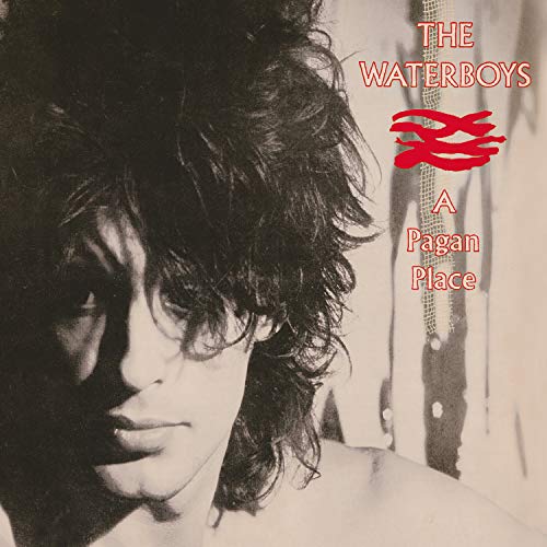 The Waterboys/A Pagan Place