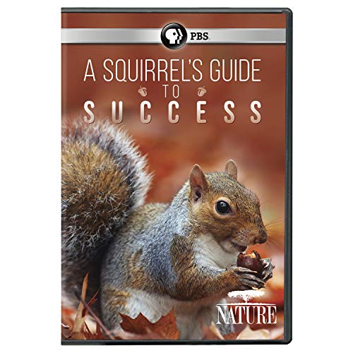 Nature/A Squirrel's Guide To Success@PBS/DVD@G