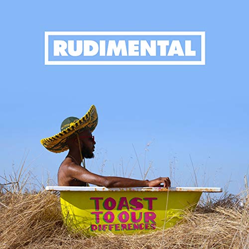 Rudimental/Toast To Our Differences@2LP