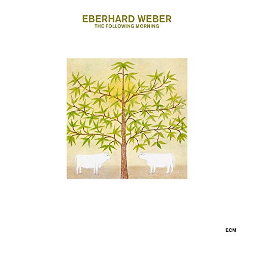Eberhard Weber The Following Morning 