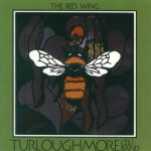 Turloughmore Ceili Band/The Bee's Wing