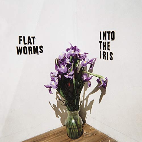 Flat Worms/Into The Iris