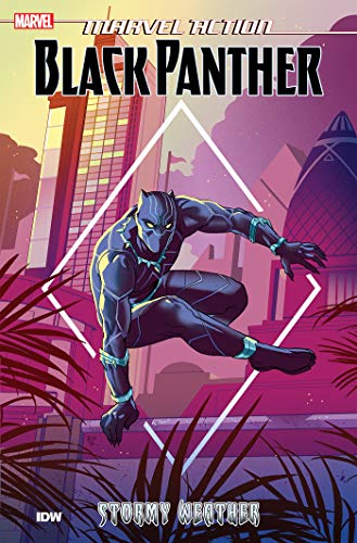 Kyle Baker/Marvel Action: Black Panther@Stormy Weather (Book 1)