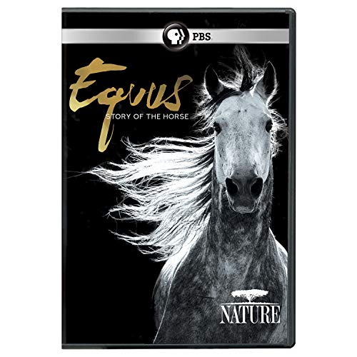 Nature Equus Story Of The Horse Pbs DVD Pg 