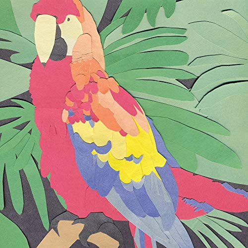Algernon Cadwallader/Parrot Flies
