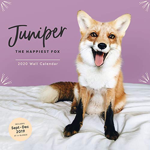 Jessika Coker/Juniper@The Happiest Fox 2020 Wall Calendar: (animal Cale