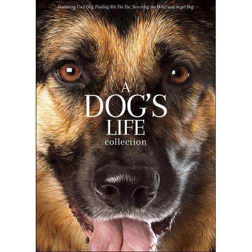 Dog's Life Collection/Dog's Life Collection