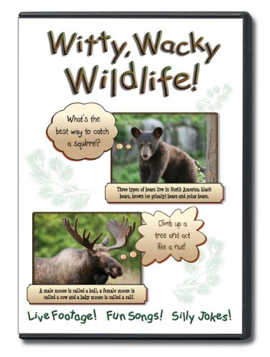 Moose Bears Brent Holmes/Witty, Wacky Wildlife! Live Footage! Fun Songs! Si