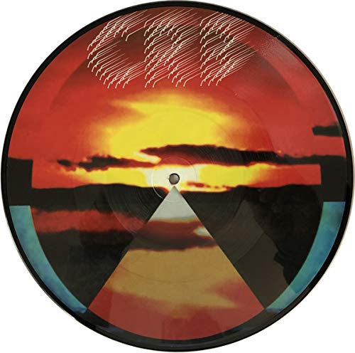 Chris Robinson Brotherhood Dice Game & Let It Fall Picture Disc Rsd 2019 