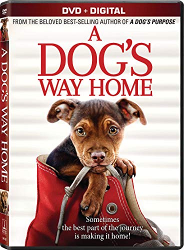 A Dog's Way Home Judd Hauer King Olmos DVD Dc Pg 