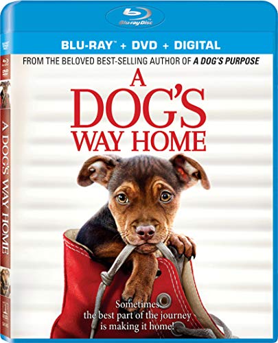 Dog's Way Home/Judd/Hauer-King/Olmos@Blu-Ray/DVD/DC@PG