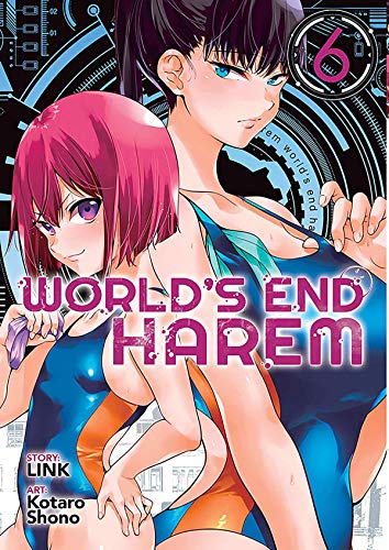Link/World's End Harem Vol. 6