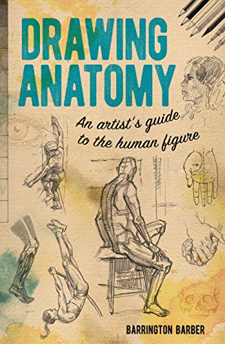 Barrington Barber/Drawing Anatomy