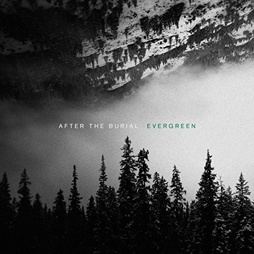 After The Burial/Evergreen (black/transparent green vinyl)@Black/Transparent Green Vinyl