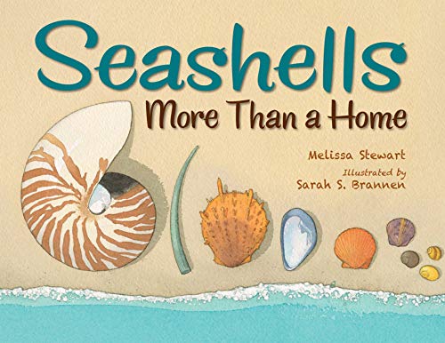 Melissa Stewart/Seashells@More Than a Home