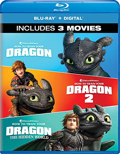 How To Train Your Dragon Hidd How To Train Your Dragon Hidd 