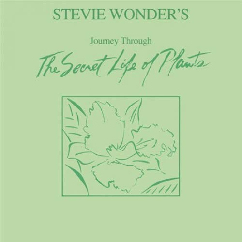 Stevie Wonder/Journey Through The Secret Life Of Plants@2 LP