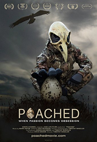 Poached/Poached