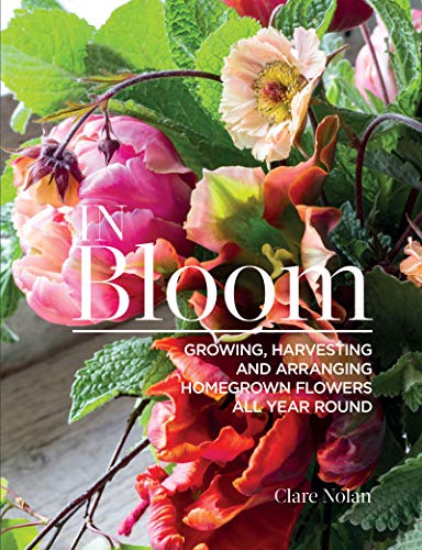 Clare Nolan/In Bloom@ Growing, Harvesting, and Arranging Homegrown Flow