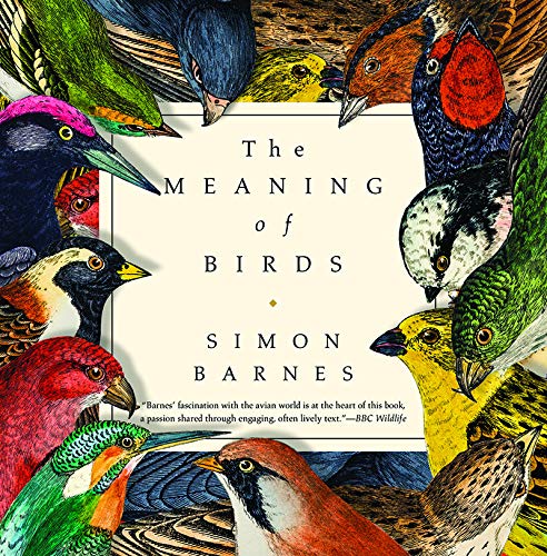 Simon Barnes The Meaning Of Birds 
