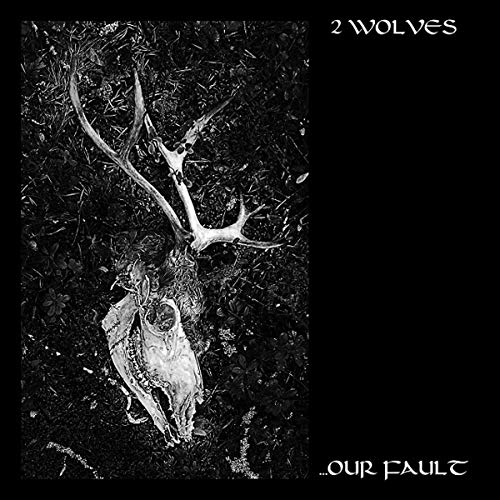 2 Wolves/Our Fault