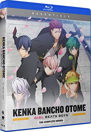 Kenka Bancho Otome: Girl Beats Boys/The Complete Series@Blu-Ray/DC@NR