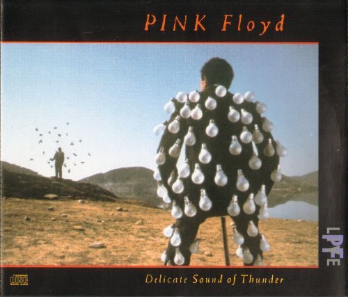 Pink Floyd/Delicate Sound Of Thunder@2 CD