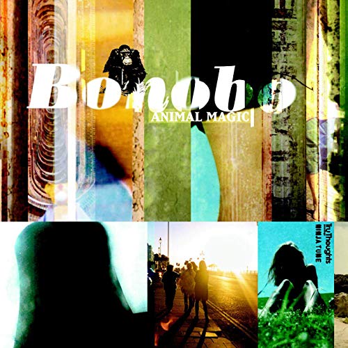 Bonobo/Animal Magic@2LP yellow vinyl w/ download card