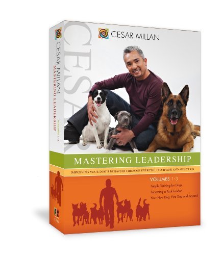 Dog Whisperer/Mastering Leadership: Improvin@Clr@Nr/3 Dvd
