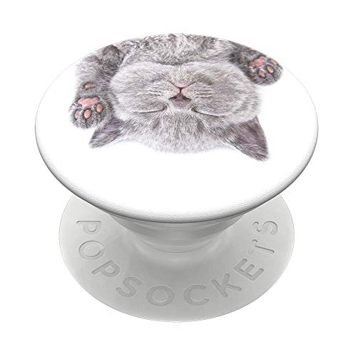 Popsocket/Cat Nap
