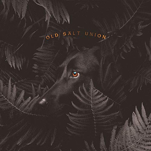Old Salt Union/Where The Dogs Don't Bite@.