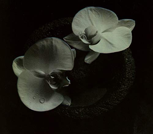 Mike Patton / Jean-Claude Vannier/Corpse Flower
