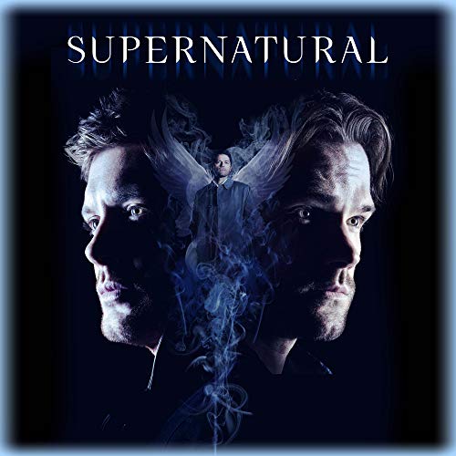 Supernatural Season 14 DVD Nr 