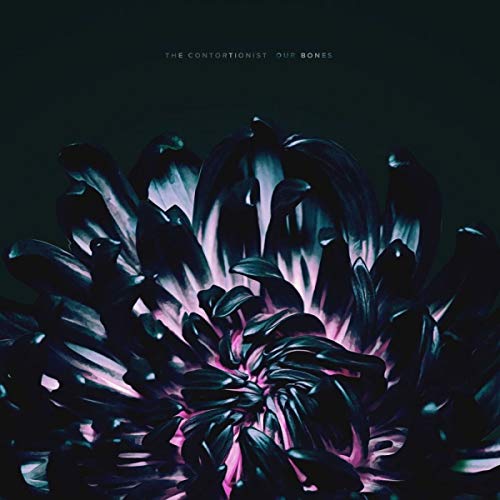 The Contortionist/Our Bones